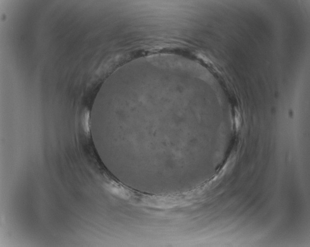 X0000066000041200603031232