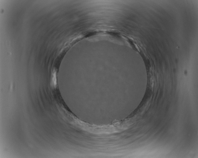 X0000066000042200603031232