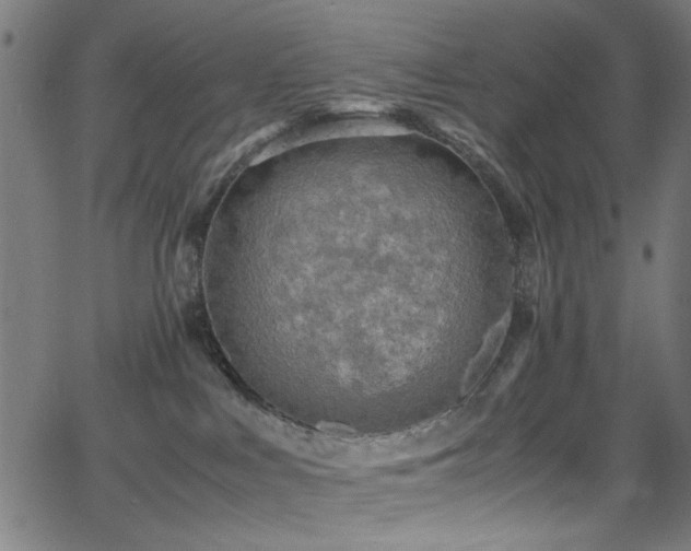 X0000066000043200603031232