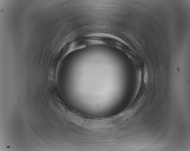 X0000066000044200603031231