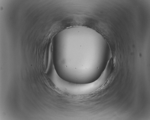 X0000066000045200603031231