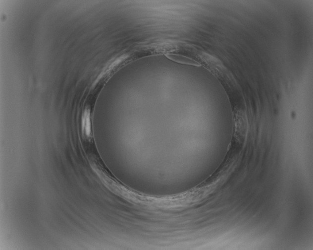 X0000066000046200603031231