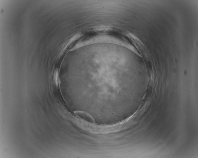 X0000066000047200603031231