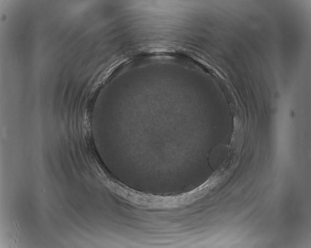 X0000066000048200603031231