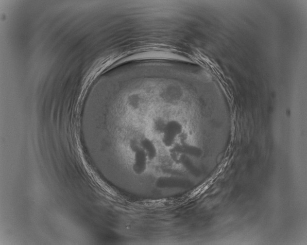 X0000066000049200603031231