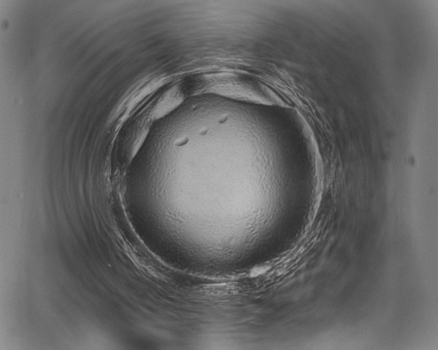 X0000066000050200603031231