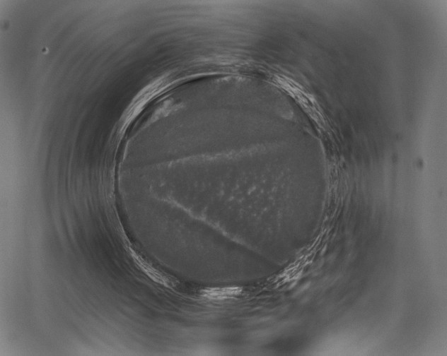 X0000066000051200603031231