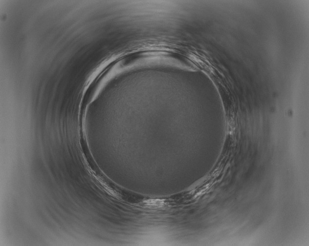 X0000066000052200603031231