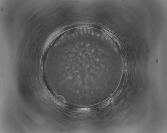 X0000066000053200603031231