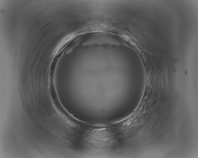 X0000066000054200603031231