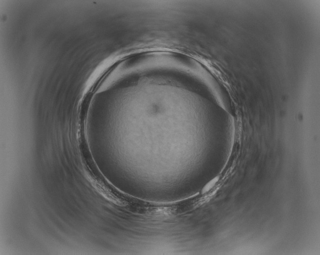 X0000066000056200603031231