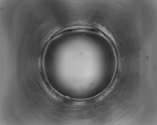 X0000066000057200603031231