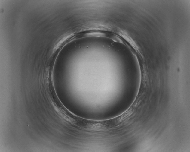 X0000066000058200603031231