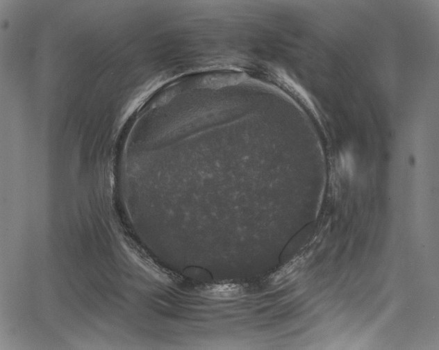 X0000066000059200603031231