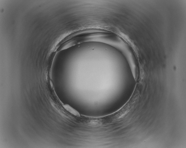 X0000066000060200603031231