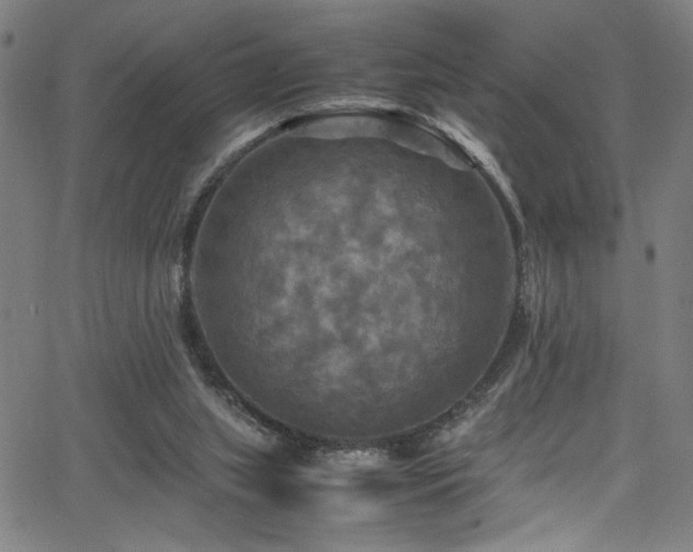 X0000066000063200603031231