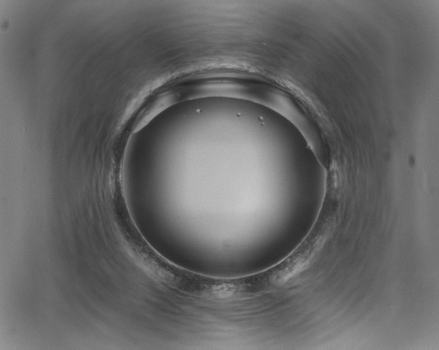 X0000066000064200603031231