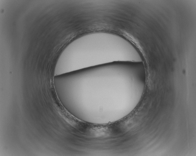 X0000066000065200603031231