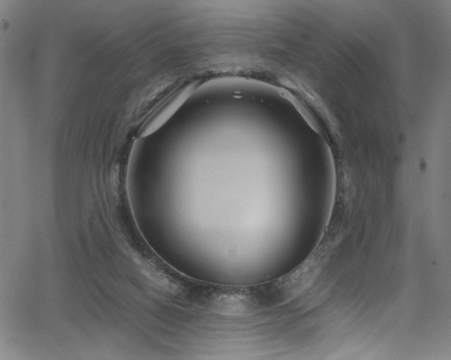 X0000066000066200603031231