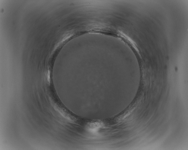 X0000066000067200603031231