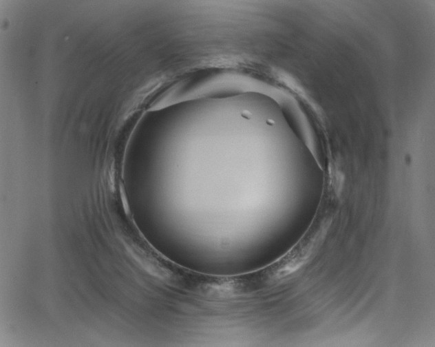 X0000066000068200603031231