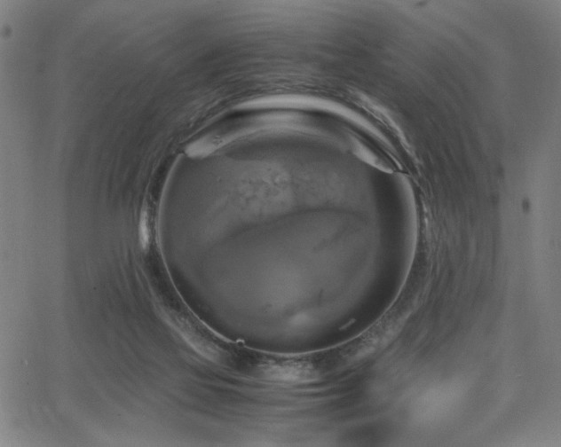 X0000066000069200603031231