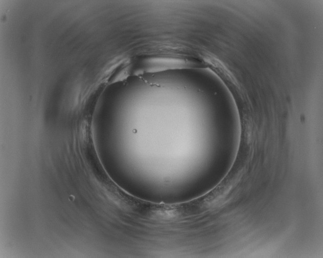 X0000066000071200603031231