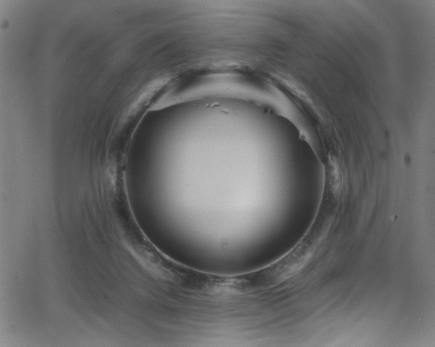 X0000066000072200603031231