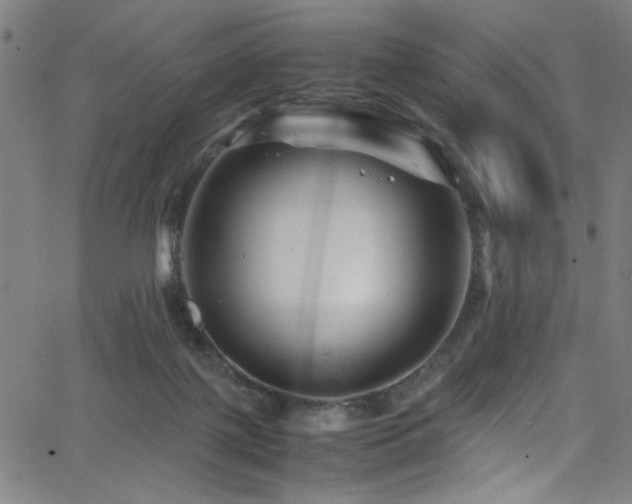 X0000066000075200603031231