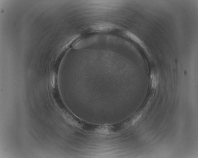 X0000066000076200603031231