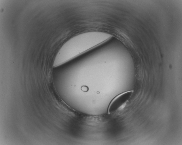 X0000066000077200603031231