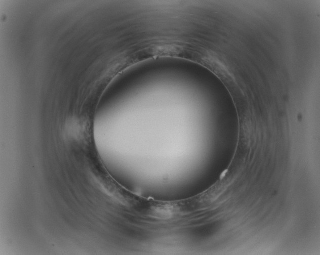 X0000066000079200603031231