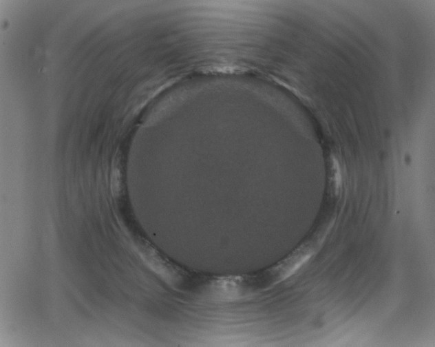 X0000066000080200603031231