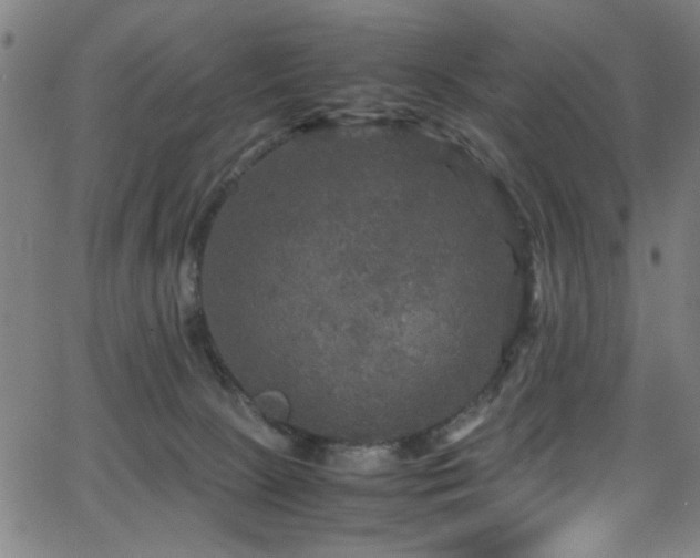 X0000066000081200603031231