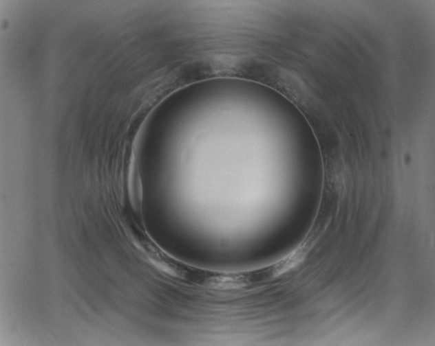 X0000066000082200603031231