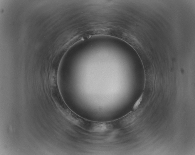 X0000066000083200603031231