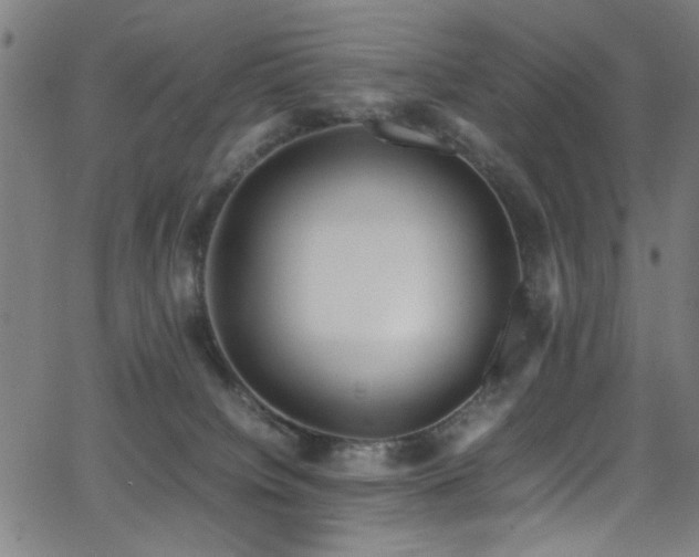 X0000066000084200603031231