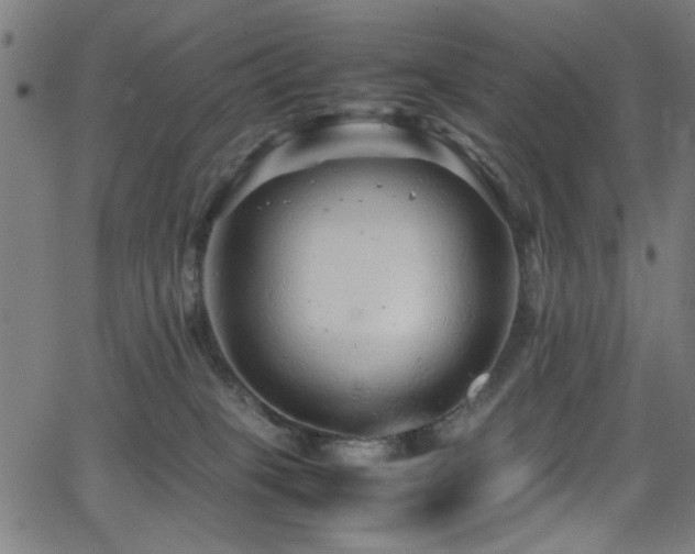 X0000066000085200603031231