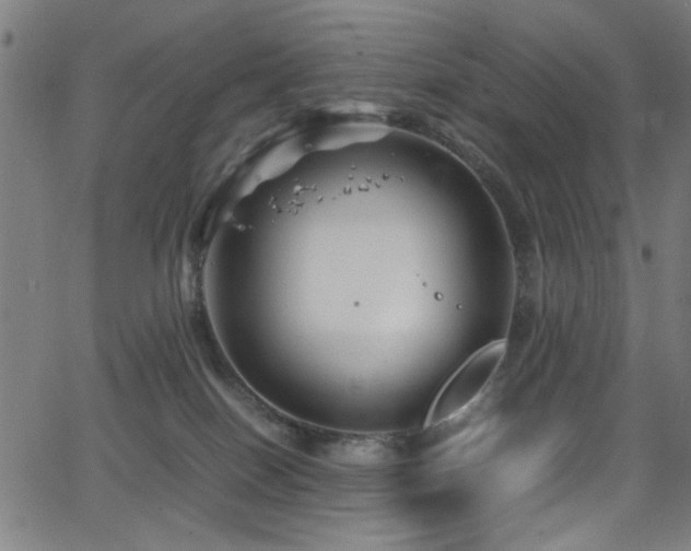 X0000066000086200603031231