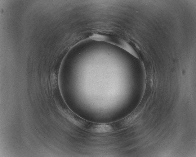 X0000066000087200603031231