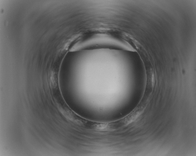 X0000066000088200603031231