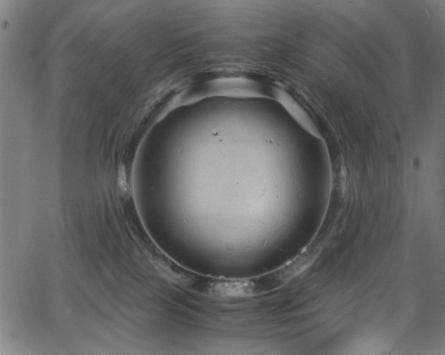 X0000066000089200603031231