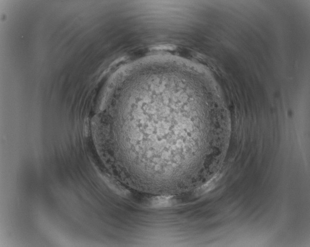 X0000066000090200603031231