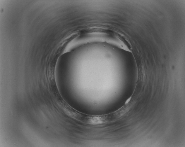 X0000066000091200603031231