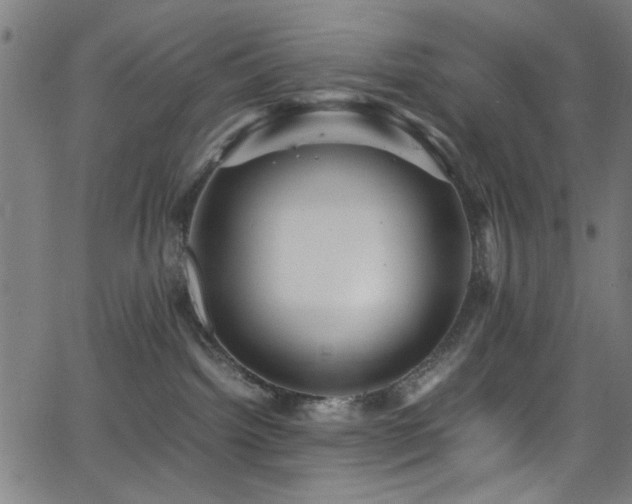 X0000066000092200603031231