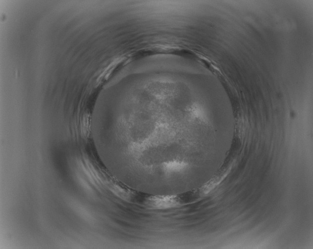 X0000066000093200603031231