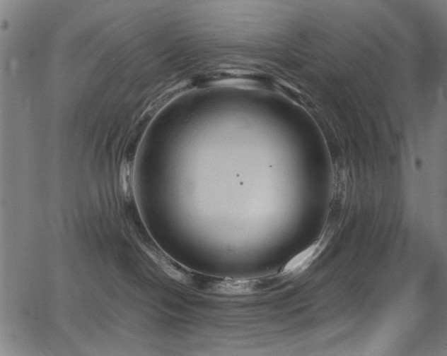 X0000066000094200603031231