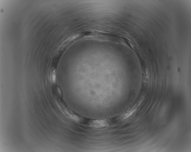 X0000066000095200603031231