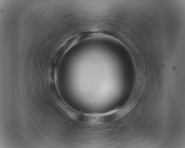 X0000066000096200603031231