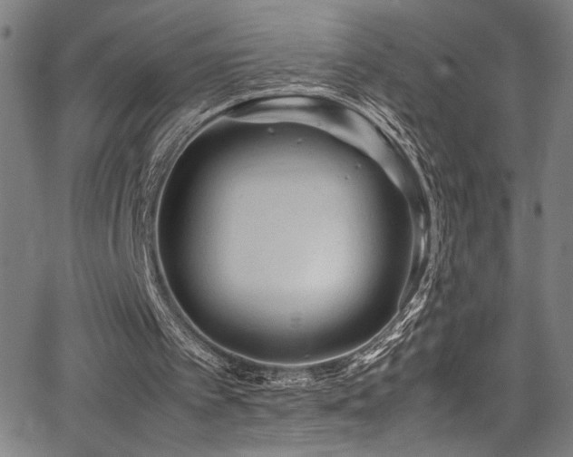 X0000066000097200603031231